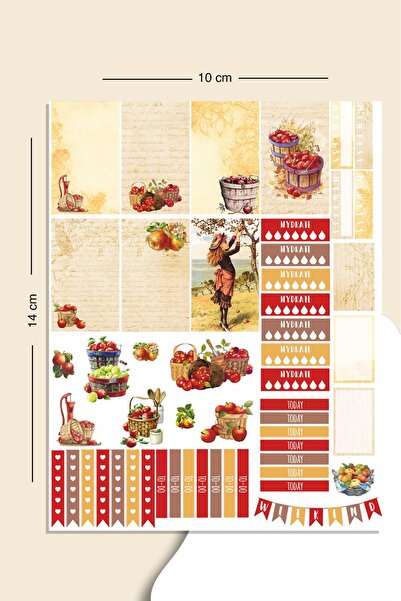 LiyaCraft Planlayıcı Sticker Seti Planner Ajanda Bullet Journal İçin Uygun Set