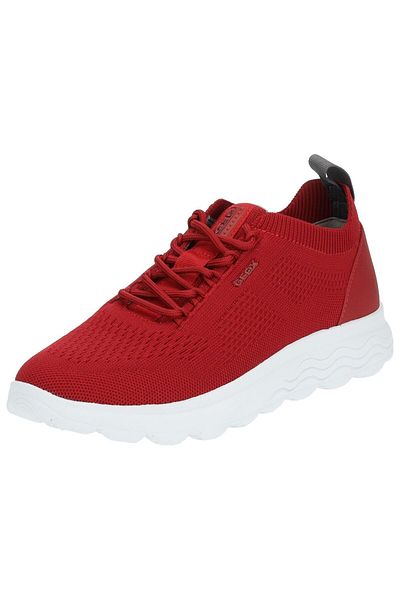 Geox Sneaker