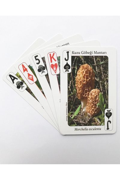 Fungio Special Playing Cards Deck - Mushroom