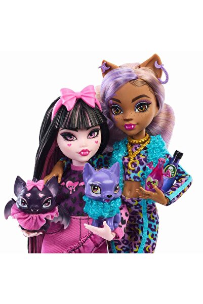 mattel HNP96 Monster High Ürpertastik Dostlar Bebekleri 2'li Paket