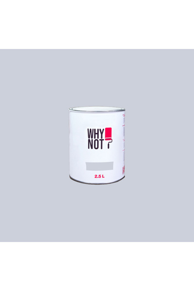WHY NOT Silver Gray - Gri Duvar Boyası