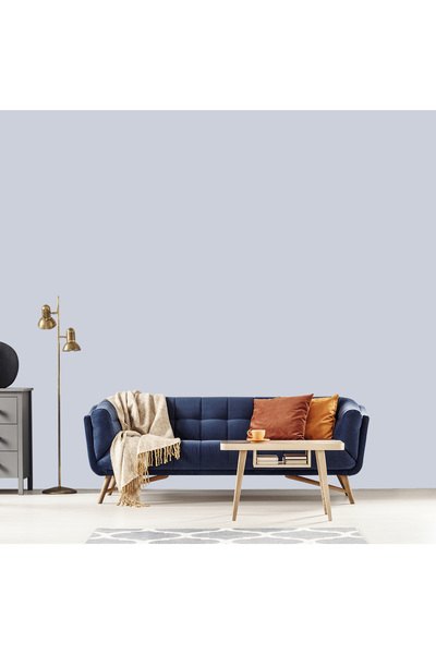 WHY NOT Silver Gray - Gri Duvar Boyası