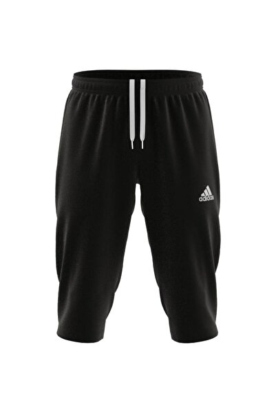 adidas Ent22 3/4 Pnt Erkek Kapri HB0576