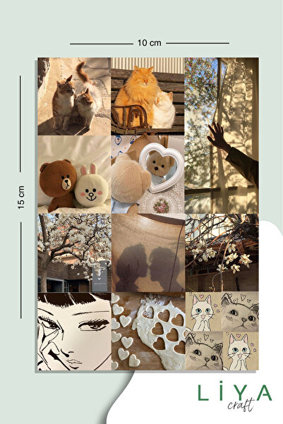 LiyaCraft 2 Sayfa Kahverengi Aesthetic Çoklu Sticker Seti Planner Ajanda Bull...