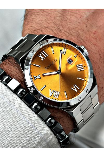 Ferrucci Silver Color Steel Strap Men's Wristwatch Bracelet Gift