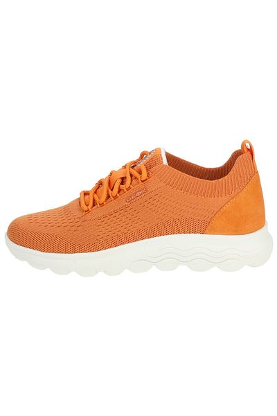 Geox Sneaker
