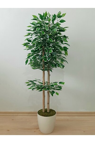 SeR Hediyelik Büyük Salon Bitkisi, Beyaz Saksıda Yapay Benjamin Ağacı Salon Dekorasyonu