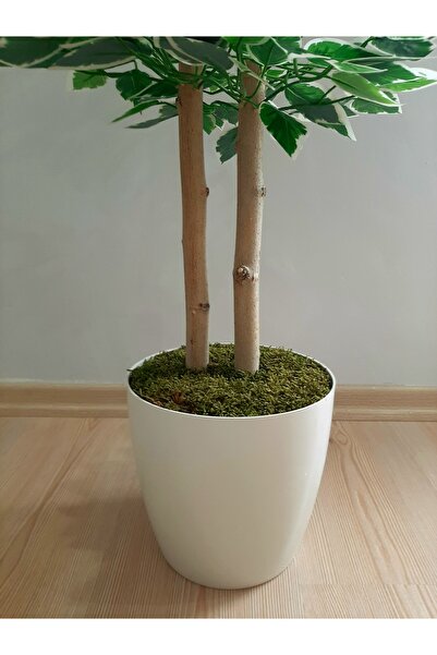 SeR Hediyelik Büyük Salon Bitkisi, Beyaz Saksıda Yapay Benjamin Ağacı Salon Dekorasyonu