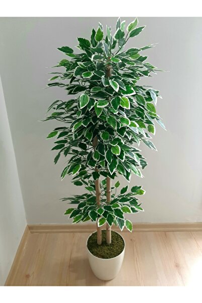 SeR Hediyelik Büyük Salon Bitkisi, Beyaz Saksıda Yapay Benjamin Ağacı Salon Dekorasyonu