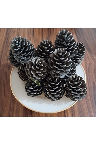 worldofegef Pine Cone 9 Pieces Natural Decorative Ornamental Cone