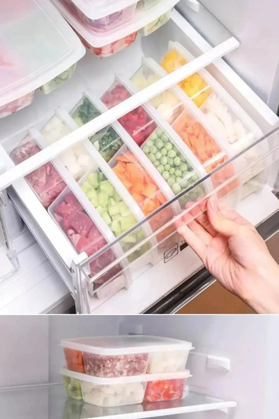 Bayev 6 Pieces Frozen Mini 4 Compartment Food Dish Vegetable Storage Container Meat Chicken Juice Mincer Icebox Organizer