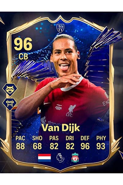 512 STORE Van Dijk Fut Card Temalı Duvar Poster 30x42 Çerçevesiz