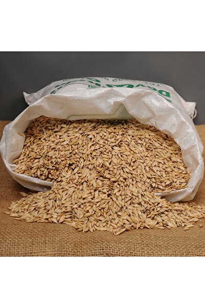 Genel Markalar Kastamonu Siyez Buğdayı (TOHUMLUK) 10 Kg.