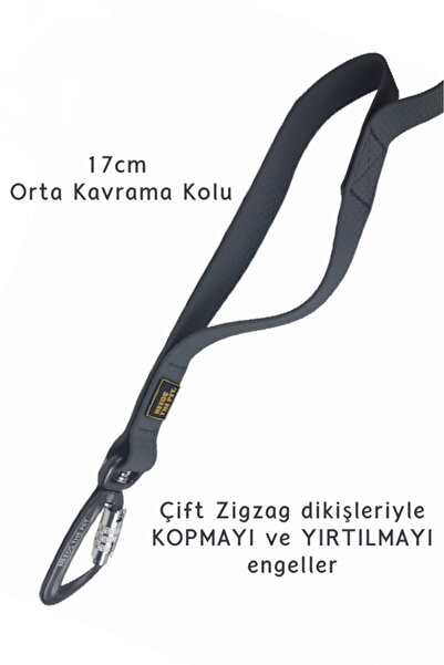 INTERLAKEN Gray Dog Walking Strap with Waterproof Strong Hook 2m