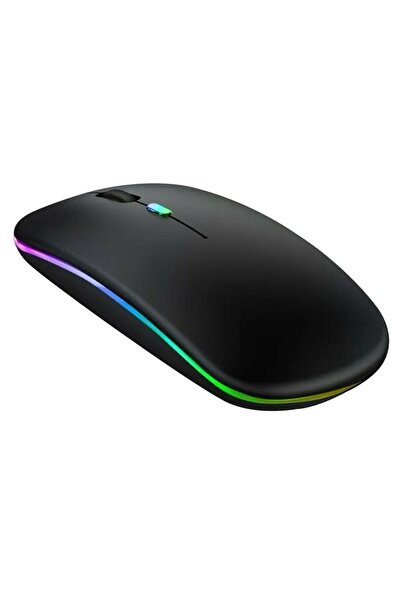 Paleon Carx8 Kablosuz, Şarjlı, Rgb Led Işıklı, Sessiz 4 Tuşlu, 1600dpı Mause