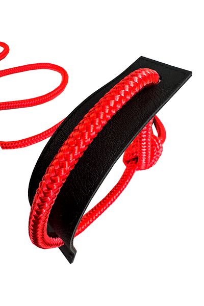 PETSWUU Adjustable Choke Training Collar, Big Breed Red Dog Training and Irration Neck Walk