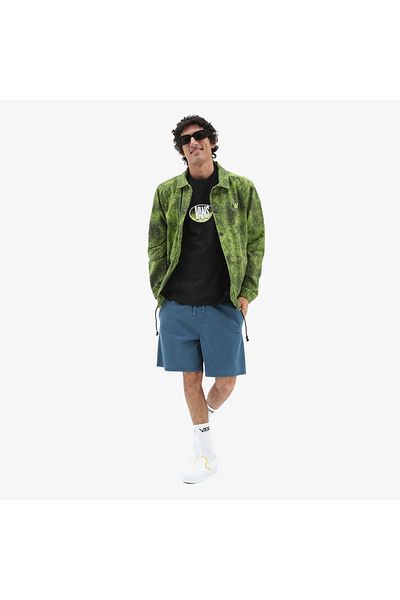 Vans Off the Wall Gradient Logo Loose Ss Tee