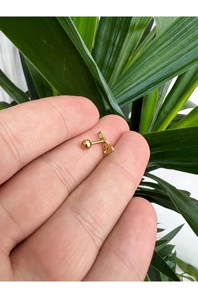 Karınca Piercing Experiment Tube Gold Color Tragus Helix Flat Conch Ear Piercing