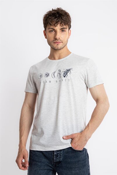ADAM BOXES Printed O-collar T-shirt Apiso - Gray Melange