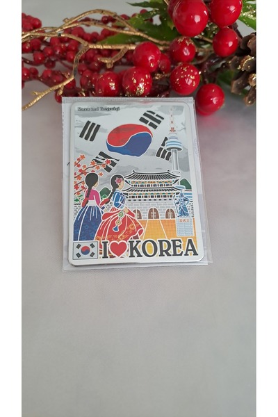 SOUL BY A&B Kore magneti buzdolabı süsü kore mıknatısı korea magnet mıknatıs ...