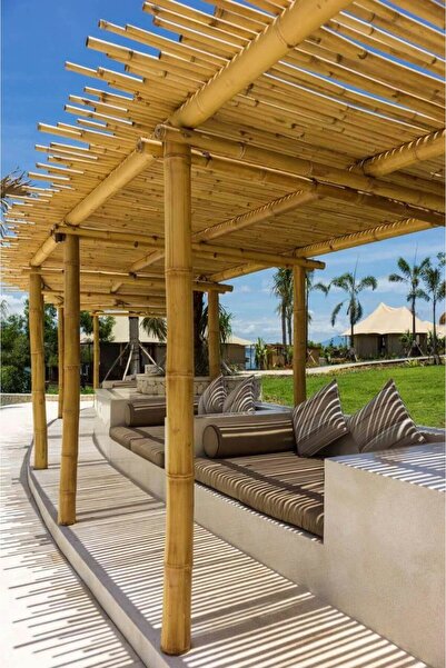 NS BAMBU DESIGN Bambu çubuk(8-10 cm arası genişlik)