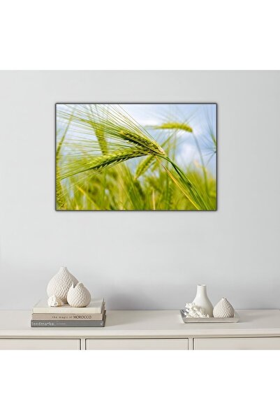 Ritmo Canvas Buğday Başağı Kanvas Tablo