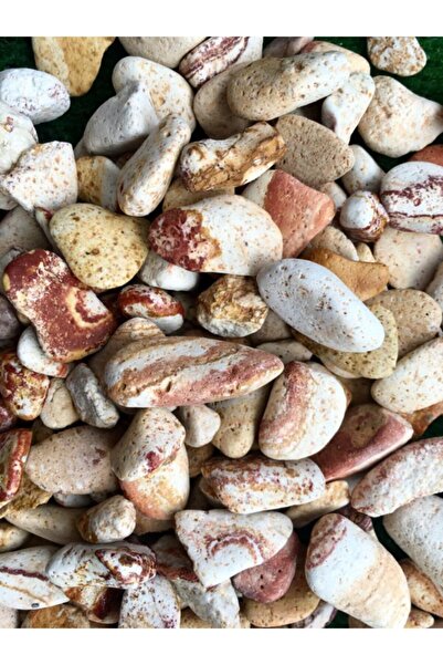 Ekodoğa Sarı Çizgili Dolomit Taş 5 kg 1,5-2,5 cm Bahçe Taşı Süs Taşı Akvaryum...