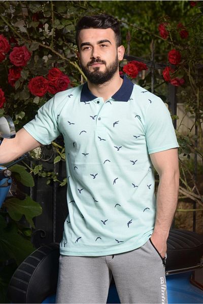 Azıcık Akıllı Tricou pentru bărbați turcoaz cu croială normală model Seagull cu gât polo
