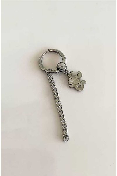 asya stil Silver scorpion-shaped unisex steel earrings (single)