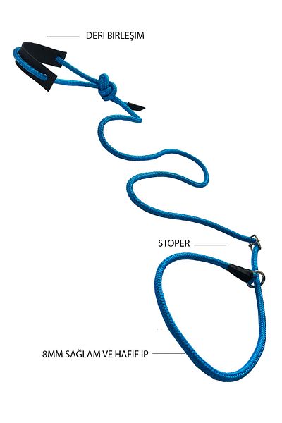 PETSWUU Adjustable Choke Big Breed Blue Dog Training Training Obedience Neck Walking Collar