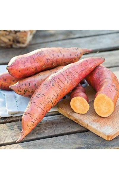 E-fidancim Erato Deep Orange Turuncu Tatlı Patates Fidesi(1 Adet)