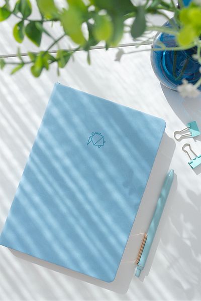 Matt Notebook دفتر ملاحظات مقاس A5 باللون الأزرق