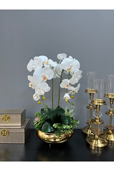 LİLOTEHOME 2 DAL LUXURY ISLAK ORKİDE SUKULENT DETAYLI UFO MODEL GOLD SAKSI