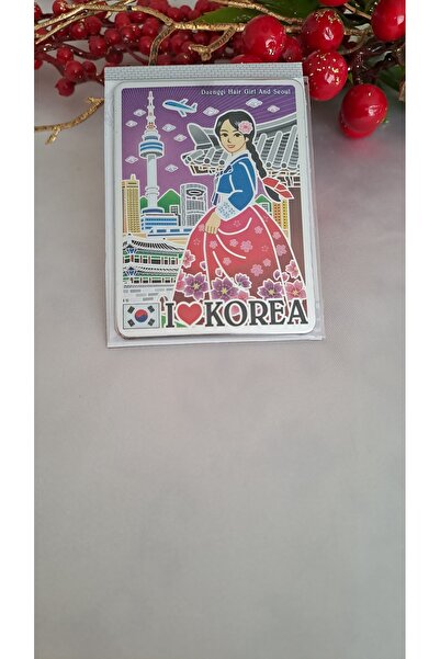 SOUL BY A&B Kore magneti buzdolabı süsü kore mıknatısı korea magnet mıknatıs ...