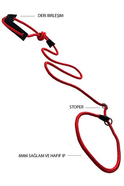 PETSWUU Adjustable Choke Training Collar, Big Breed Red Dog Training and Irration Neck Walk
