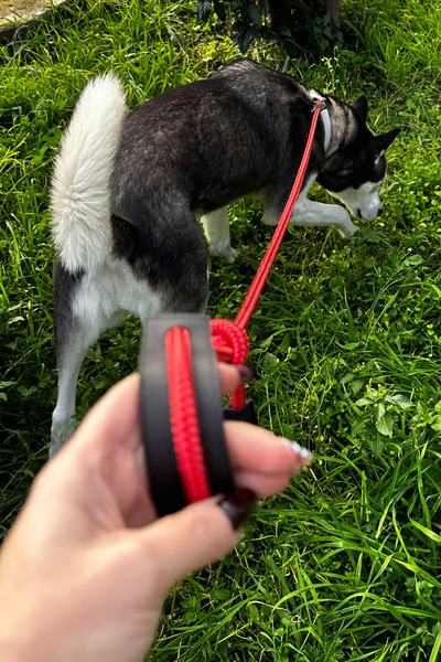 PETSWUU Büyük Irk Köpekler İçin Ayarlanabilir Boğma Eğitim Tasması - Mavi