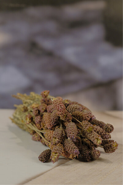 birgi köy evi Doğal ve Aromatik Karabaş Otu