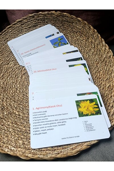 RecordHealing Duygu Kartları, Bach Çiçeği Kartları