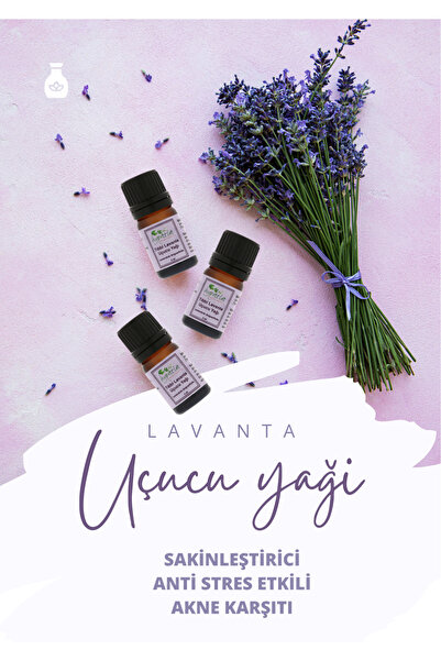 Lavanta Uçucu Yağı