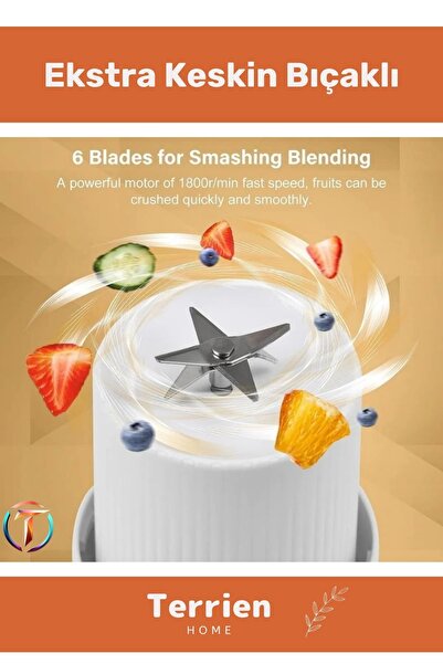 teknotrust İthalatçı Garantili Home Serisi Taşınabilir El Blenderı 420 ML Şarjlı Meyve Smoothie Hazırlama Maki