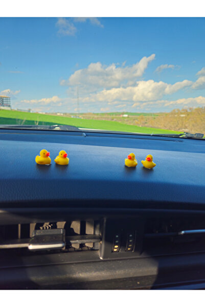 Rex Aksesuar مجموعة من 4 بطة صغيرة للرؤية الخلفية، زخرفة مرآة، زخرفة سيارة