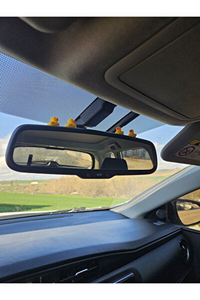 Rex Aksesuar 4 Lü Mini Ördek Set Dikiz Aynası Süsü Ayna Süsü Araba Süsü