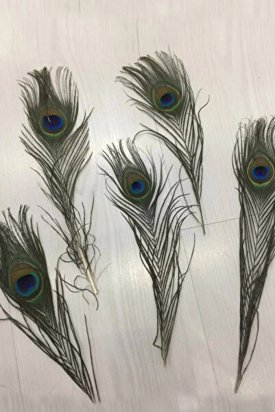 Limelia Tavuz Kuşu Tüyü Dekor İçin Parti ve Elbise Süslemeleri İçin Tüy 25-27...