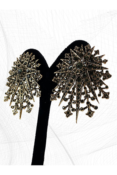 FAYRA ACCESSORIES Black Diamond Kutup Yıldızı Küpe