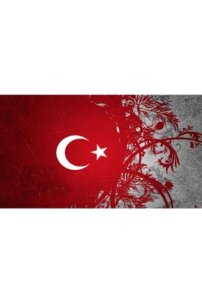 MOVAS Art Glorious Turkish Flag| Diamond Mosaic Painting| Mosaic Puzzle| 50x25| E20203053m
