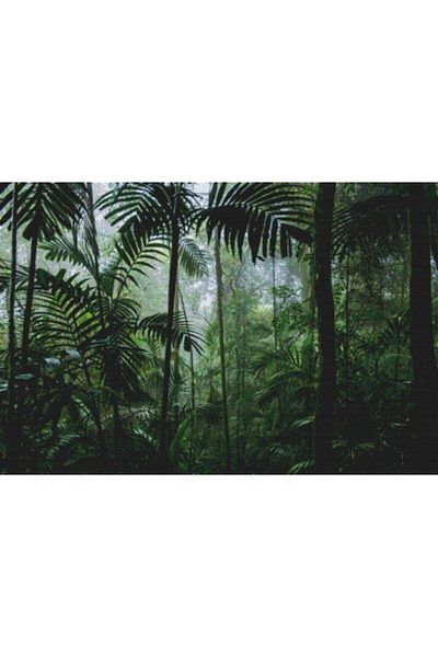 MOVAS Art Tropical Rainforest| Diamond Mosaic Painting| Mosaic Puzzle| 55x36| E2020703