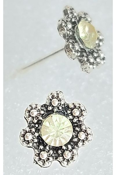 impressive Flower Motif Framed Crystal Solitaire Design Modern Simple Elegant Evening Dress Earrings(Silver)