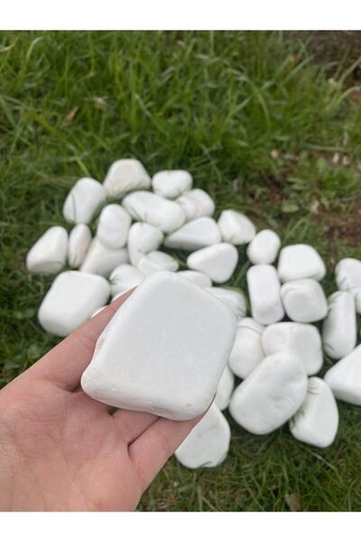 Elysian Beyaz Dolomit Taş 5 Kg 4-8 Cm Peyzaj Taşı Dekoratif Akvaryum Bahçe Süs Taşları Saksı Taşı 20no6