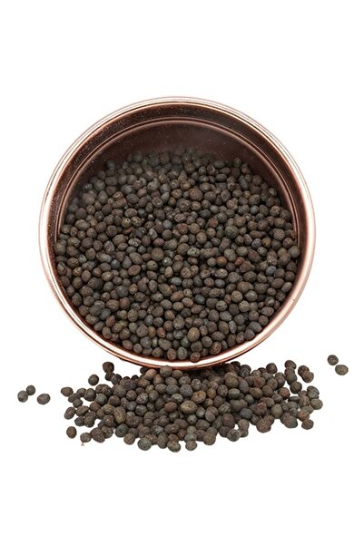 Göral Kuruyemiş Menengiç Tuzlu Kavrulmuş - 500 gr