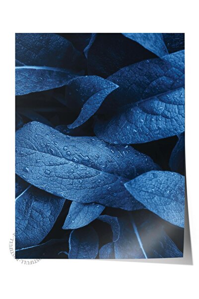 Postifull Poster fără încadrare, tablou botanic și cu frunze nr. 33, fotograf...